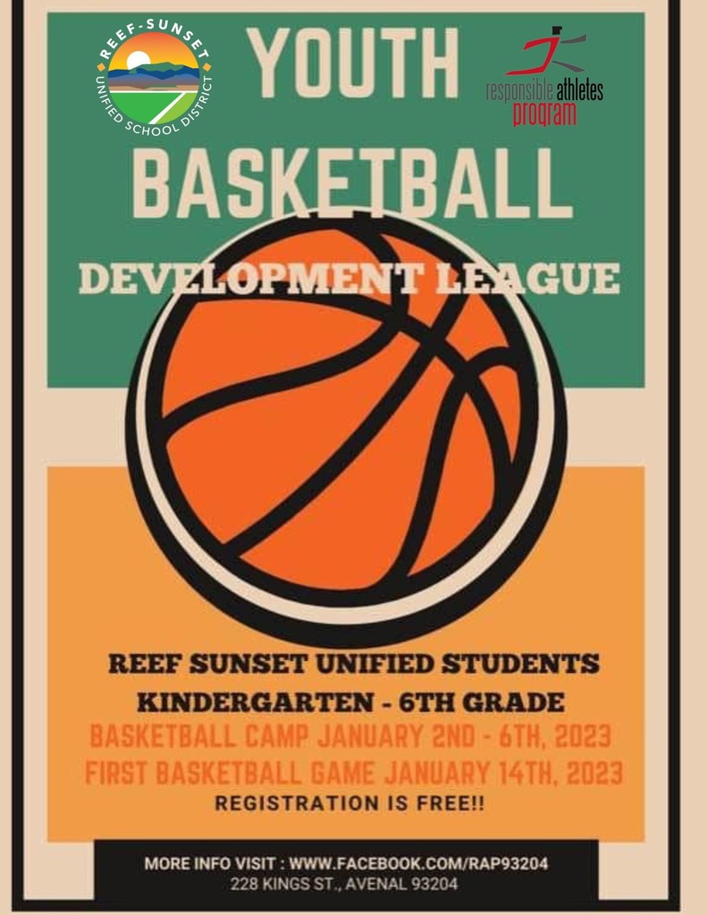 Youth Bball Development League flyer